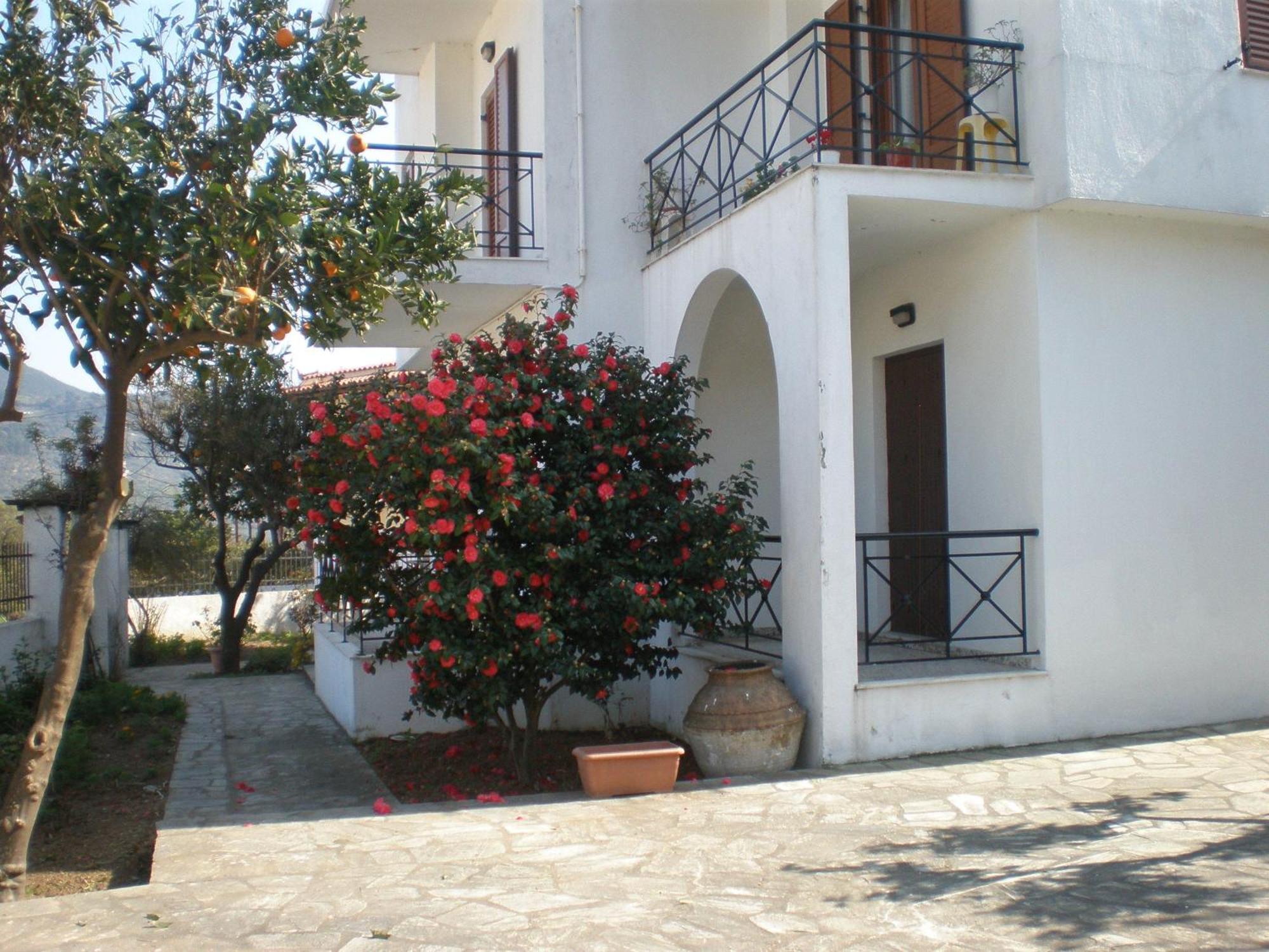 Karagiozos Studios & Apartments Skopelos Town Exterior photo